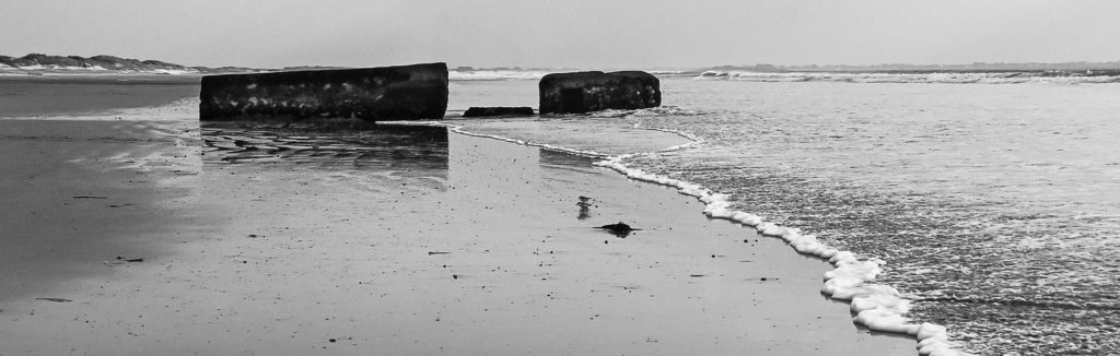 Les oiseaux